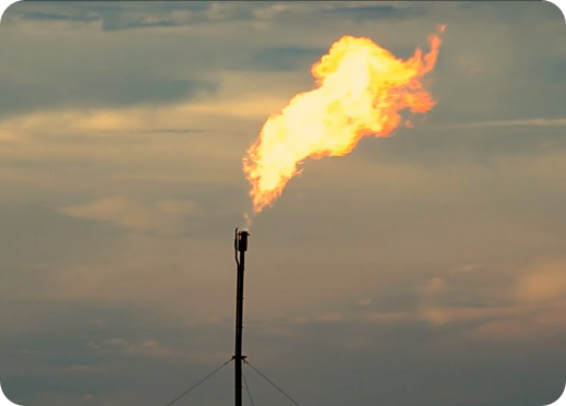 Flare System